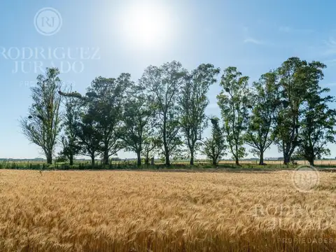 Ruta 31 - San Antonio de Areco