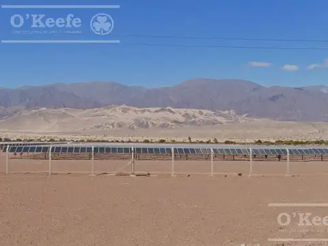 Campo 101 has en Venta Fiambala, Catamarca