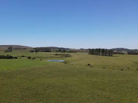 Quinta - Venta - Uruguay, Maldonado