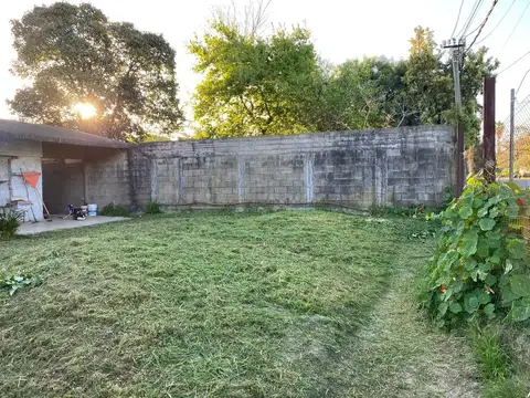 Roberto Gomensoro 1200