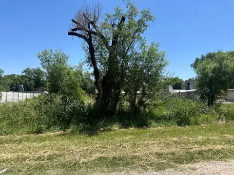 Terreno en Venta 10  mts Frente