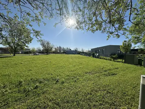 Terreno en Venta de 1119,0 m2