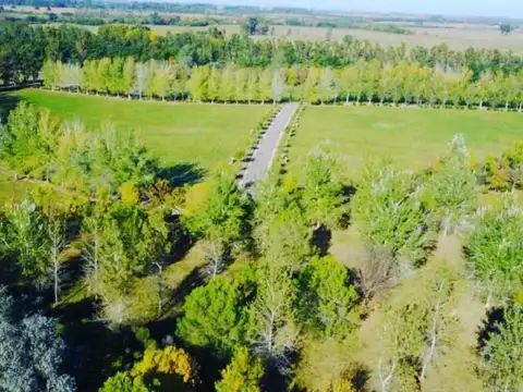 Lote | Ruta Nacional Nº 8