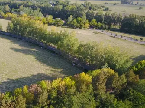 Terreno en Venta de 1107,0 m2