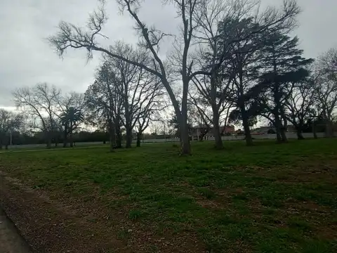 Terreno en Venta de 300,0 m2