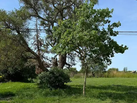 Terreno en Venta en Cayasta, USD 8.500