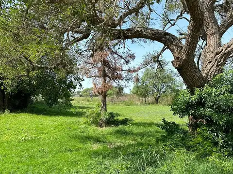 Avenida de los Inmigrantes