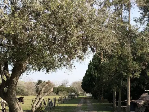 Chacra en Rio Lujan