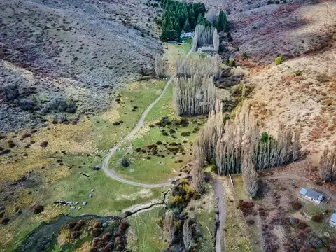 Campo en San Martin de los Andes