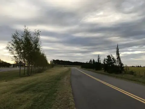 Campo - Venta - Argentina, Luján
