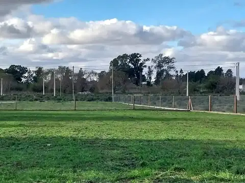 Terreno en venta - 420Mts2 - Abasto, La Plata