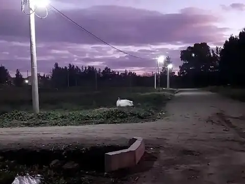 Terreno en Venta en Abasto, USD 12.000