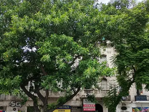 Bernardo de irigoyen al 1500