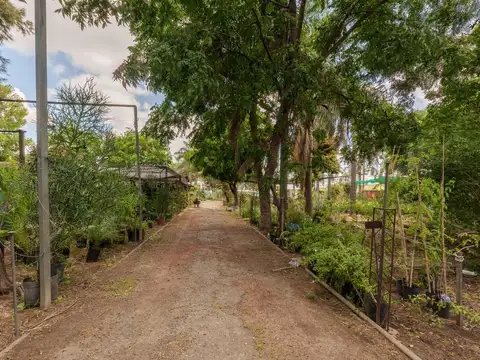 Juan José Paso y Circunvalación