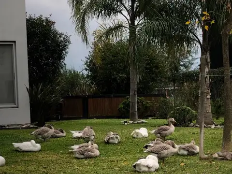 Terreno en Venta en Terravista, USD 350.000