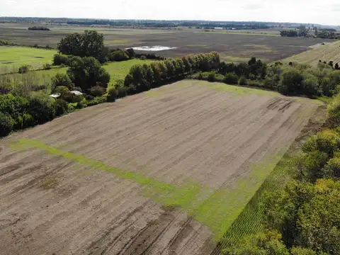 Venta Campo en Lima 81 hectáreas agricolas