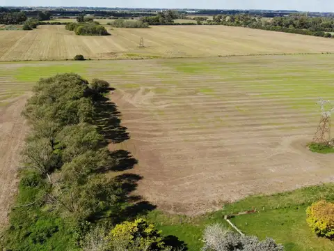 Venta Campo en Lima 81 hectáreas agricolas