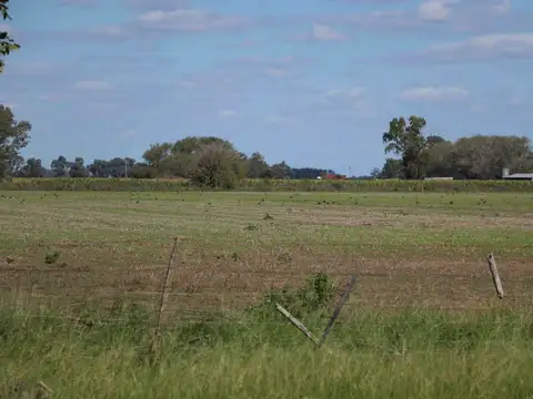 Venta Campo en Lima 81 hectáreas agricolas