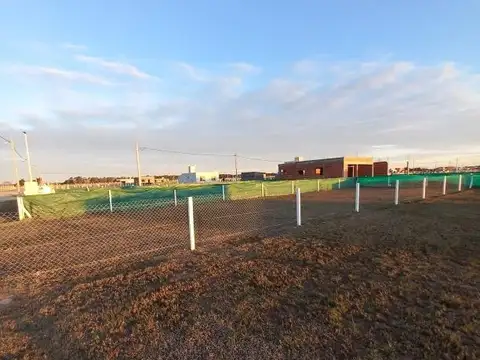 Barrio Domselaar Chico