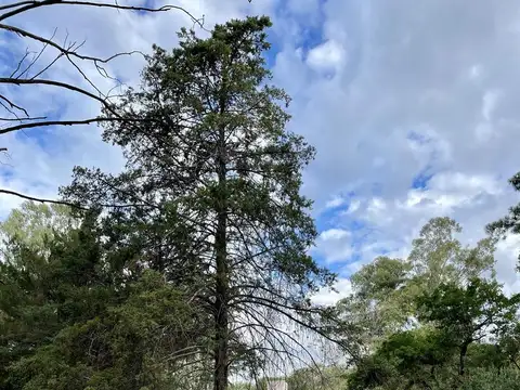 Casa en Venta 50 años