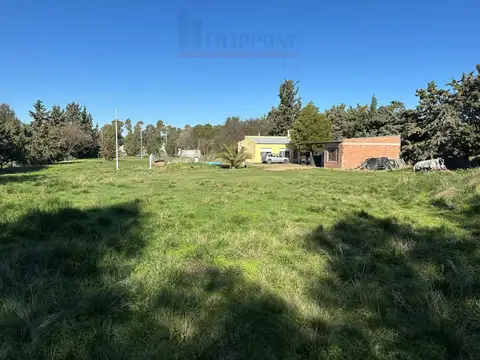 Francisca Hernández 300