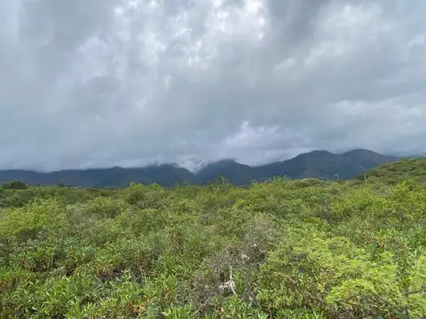 Terreno en Venta de 30000,0 m2