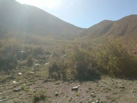 Terreno en Venta de 25000,0 m2