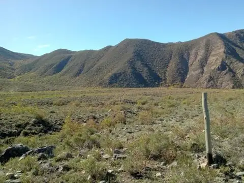 Camino Francisco Guiñazú