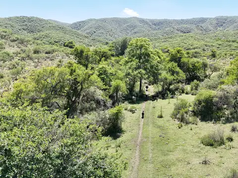 Terreno en Venta de 3688,0 m2