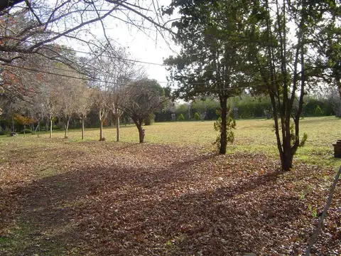 San Fransisco y San antonio