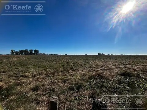 31 has - Campo en Venta - Excelente Acceso - IDEAL EMPRENDIMIENTO HORTICOLA !!!