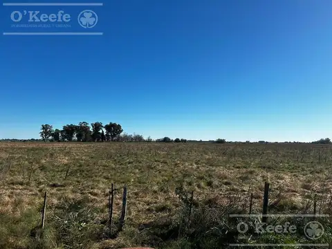 Chacra de 31 has en venta en La Plata - Ideal Hortícola