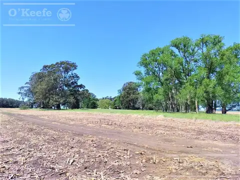 Chacra de 31 has en venta en La Plata - Ideal Hortícola