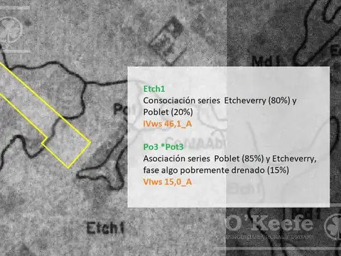 31 has - Campo en Venta - Excelente Acceso - IDEAL EMPRENDIMIENTO HORTICOLA !!!