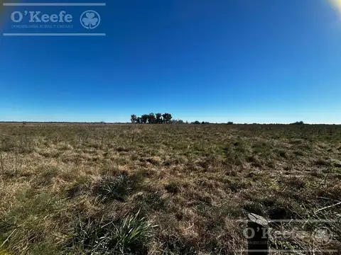 Chacra de 31 has en venta en La Plata - Ideal Hortícola