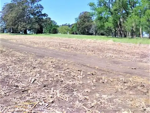 31 has - Campo en Venta - Excelente Acceso - IDEAL EMPRENDIMIENTO HORTICOLA !!!