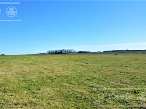 31 has - Campo en Venta - Excelente Acceso - IDEAL EMPRENDIMIENTO HORTICOLA !!!