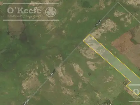 Chacra de 31 has en venta en La Plata - Ideal Hortícola