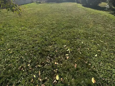 Pedro Nolasco  al 400