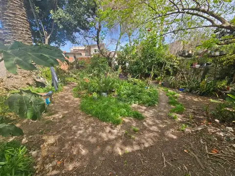 CASA CON LOCAL COMERCIAL SOBRE AVENIDA COMERCIAL