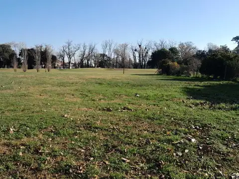 Haras Santa Maria 700