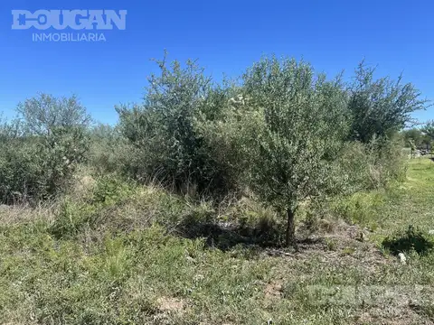 Terreno en Venta de 2245,0 m2