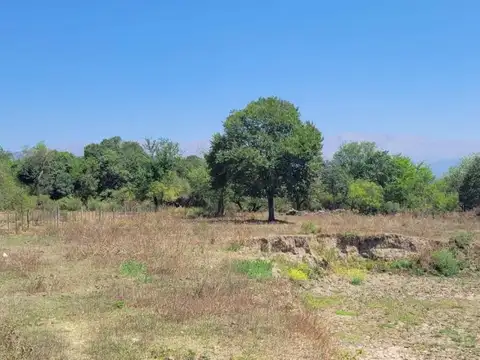 Oportunidad de Inversión en Circunvalación Oeste