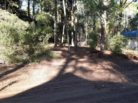 Terreno en Venta en Carilo, USD 120.000