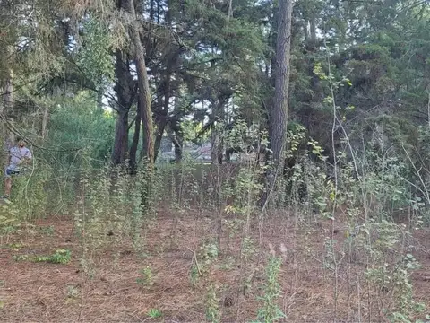 Terreno en Venta de 1086,0 m2