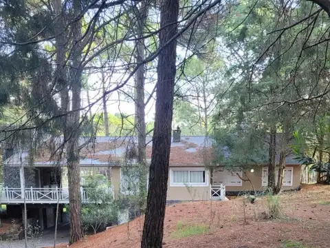 Guindo e/ Tucán y Zozal