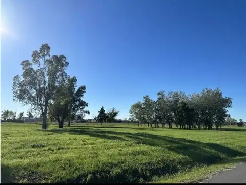 VENTA LOTE ALAMOS II LUJAN IMPERDIBLE