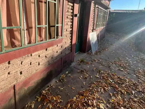 José Ingenieros 4100