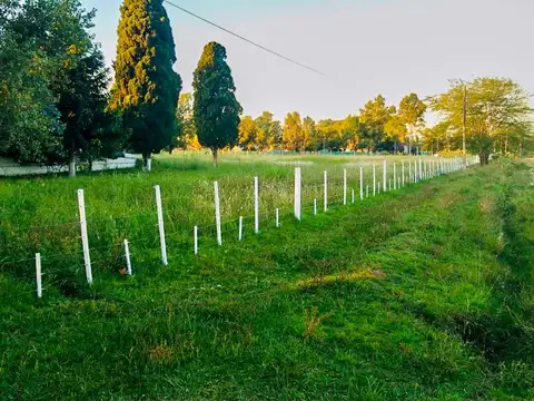 Campo en Venta de 3  ha