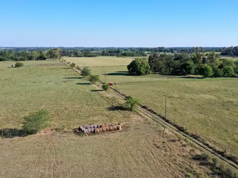 Campo en Venta de 83  ha